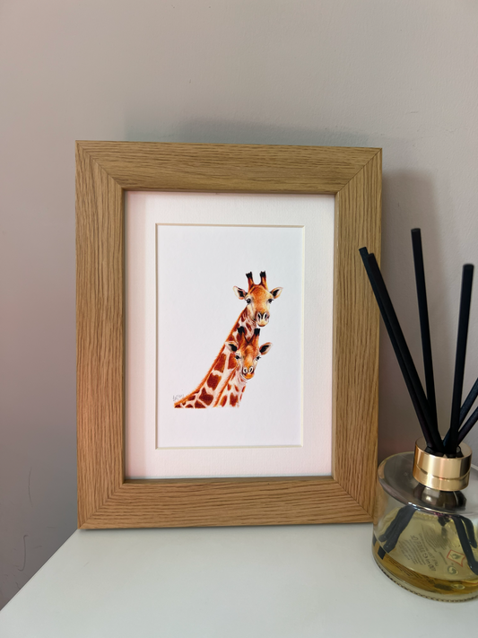 Giraffe Mum and Baby Pencil Illustration - Fine Art Print, Framed Animal Artwork