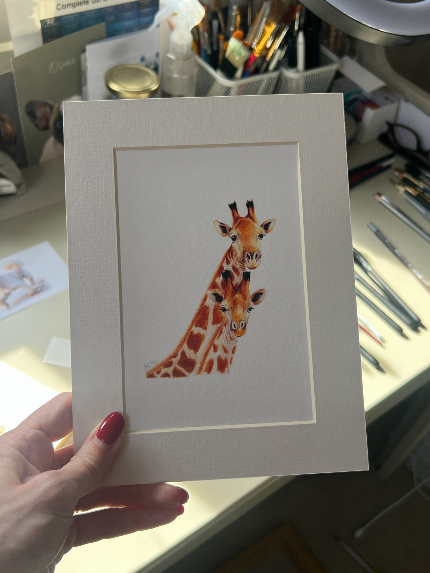 Giraffe Mum and Baby Pencil Illustration - Fine Art Print, Framed Animal Artwork