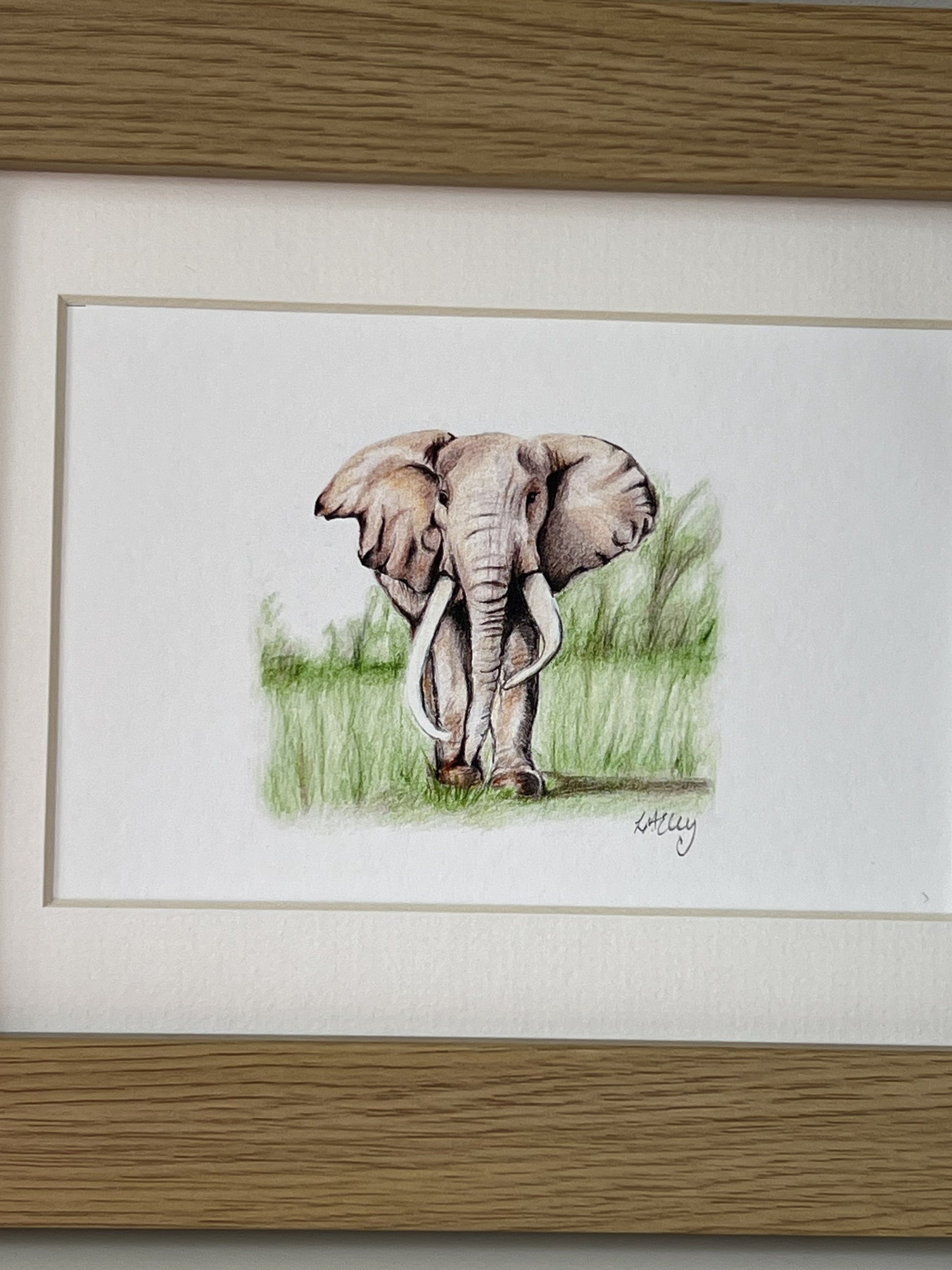 A close up of a framed pencil illustration of an elephant standing in grass.