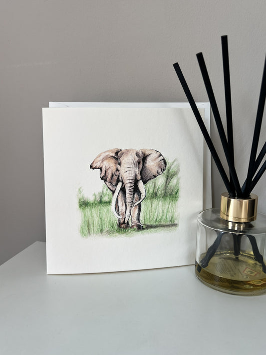 A square greeting card featuring a pencil illustration of an  elephant standing in green grass, displayed on a white surface next to a glass reed diffuser with black sticks.