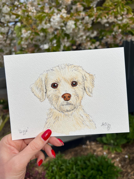 Lizzie the Maltese Dog: A Bundle of Fluff & Joy in Watercolour Daily Drawing
