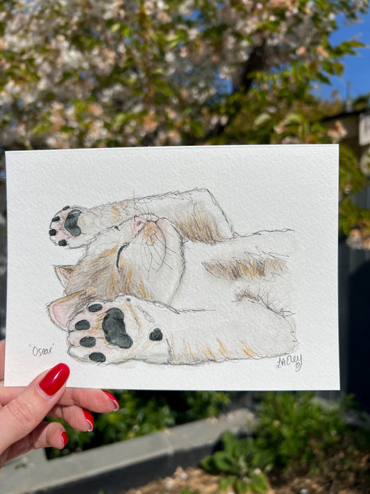 Cuddle & Chaos: The Lovable Energy of Oscar Kitten Watercolour Daily Drawing
