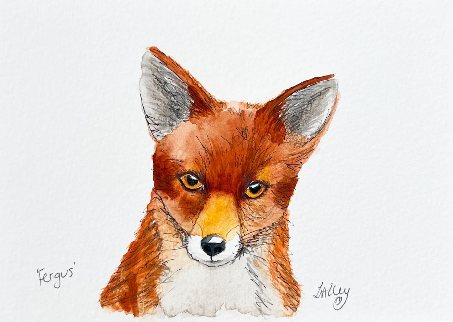 Wild at Heart: Fergus the Fox in Bold Watercolour Daily Drawing