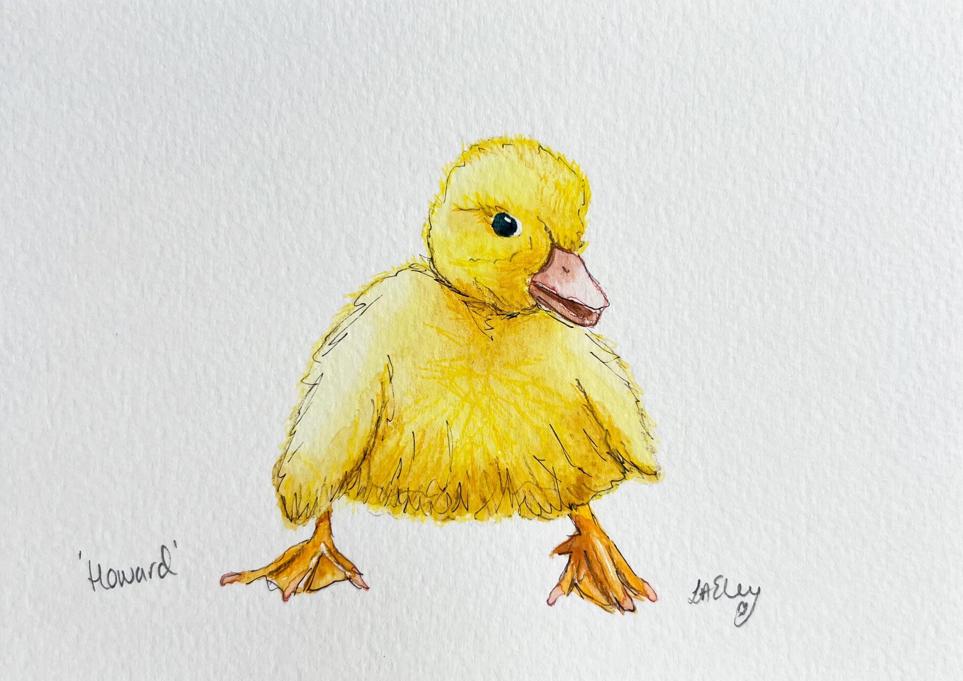 Watercolour painting of a yellow duckling on a white background. 