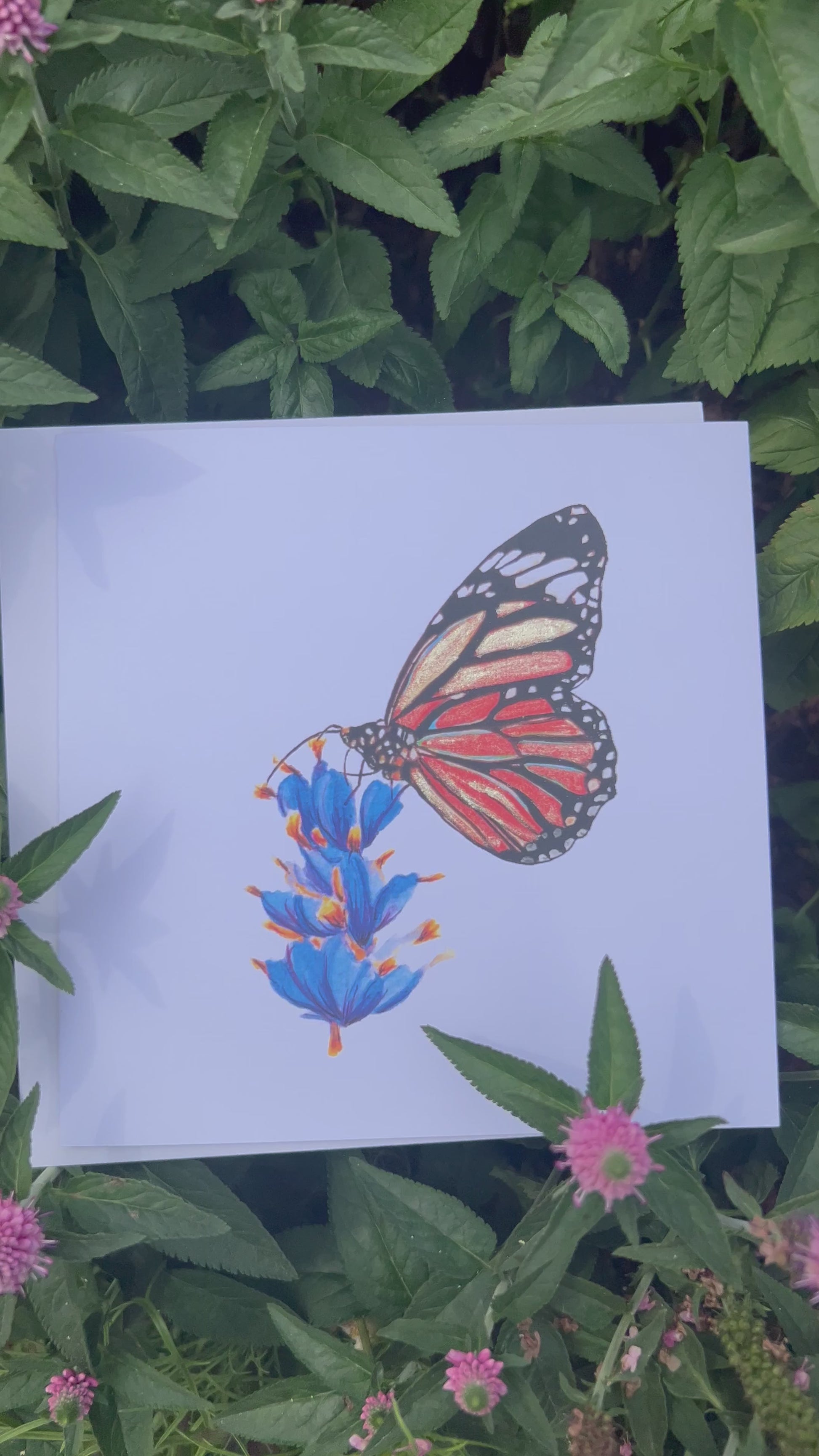 Video of a Monarch Butterfly illustration card with gold glitter accents on a white card with flowers and leaves around