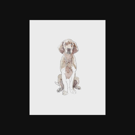 Time lapse of a hand drawing of Labrador dog using a watercolour effect finish.