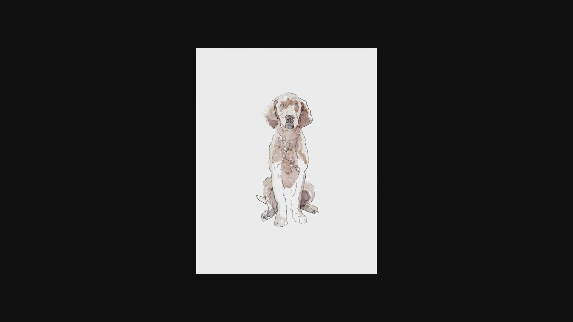 Time lapse of a hand drawing of Labrador dog using a watercolour effect finish.