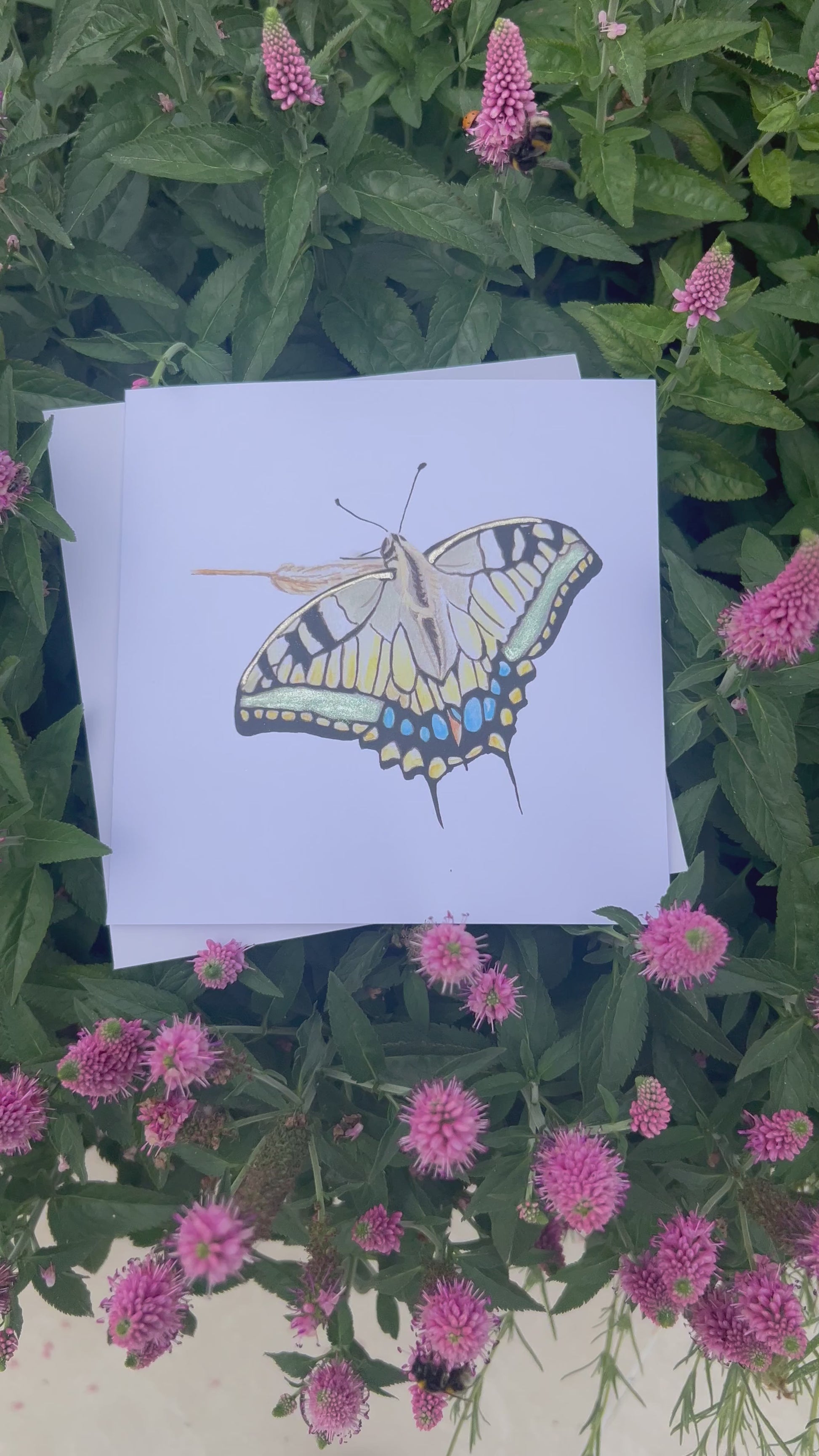 Swallowtail Butterfly illustration with green and gold glitter metallic finish on a white card with green foliage in the background.