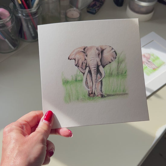 A square greeting card featuring a pencil illustration of an elephant standing in green grass, displayed in a real life art studio. 